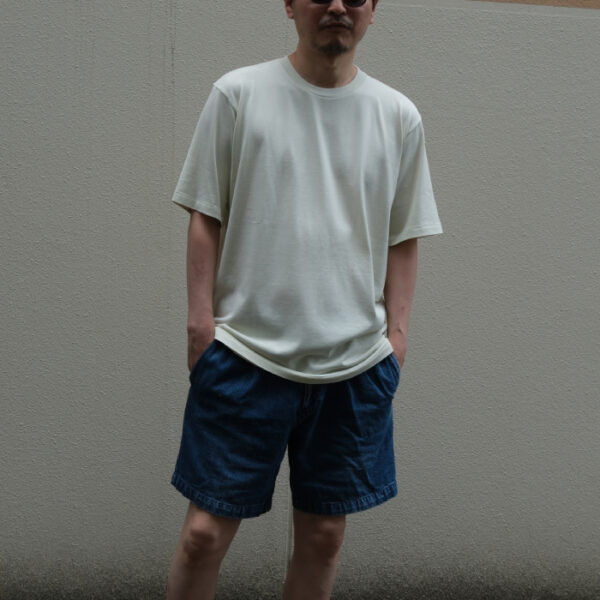 A00P02GT_IVY_PIS_025S