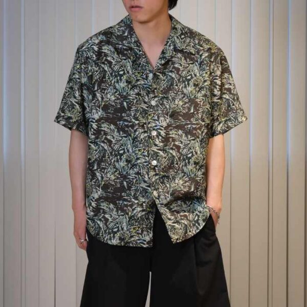 A26SS01AP_DBRN_026S