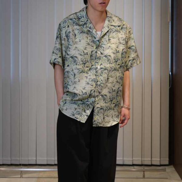 A26SS01AP_PGRN_026S