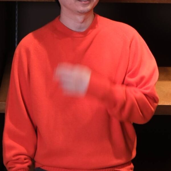 ポステレガント(POSTELEGANT) FINE WOOL PULL-OVER KNIT
